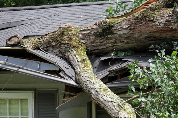 Storm Remediation in San Diego