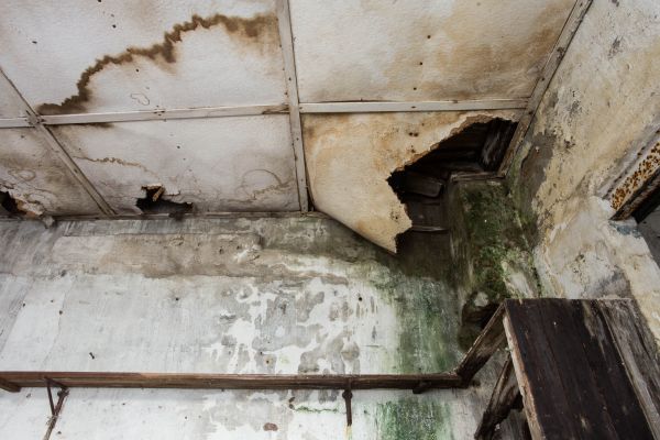 Water Damage Service in San Diego