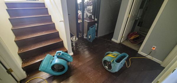 Water Damage Remediation in San Diego