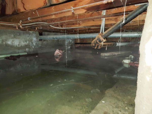Crawlspace Water Restoration in San Diego